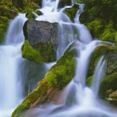 Terlyn Technologies ''Saving Water Worldwide'' - Become part of the solution!