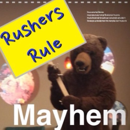 Yes I am a Bear. I enjoy making people laugh on the hit TV show Big Time Rush. Ps. Im not actually the Bear, just a huge fan of the BTR Bear!