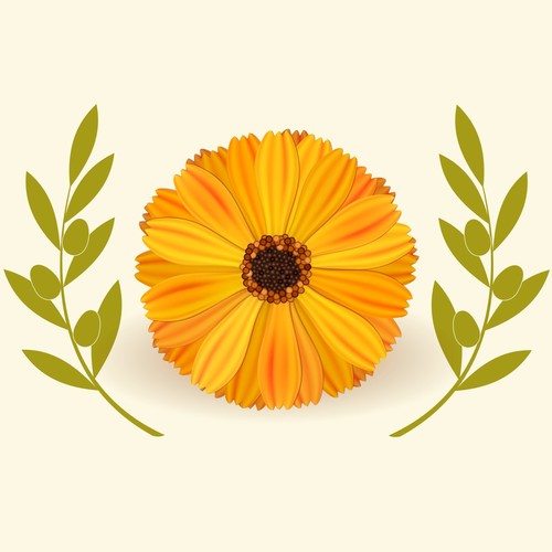 PaphosHospice's profile picture. Archangel Michael Hospice offers free palliative care to all in need regardless the nature of the illness.