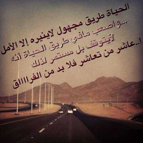 حائل حائل 55712 تويتر