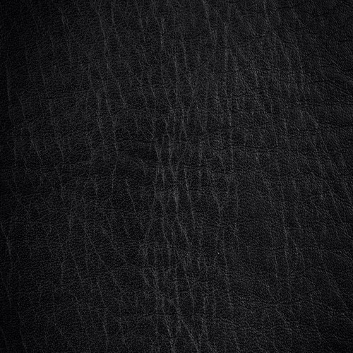 ThatSexyDoc's profile picture. 