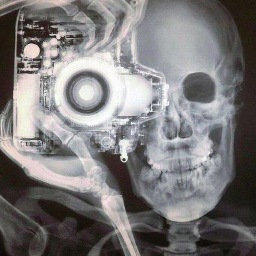 kaywhiteley1's profile picture. a cheerio in a bowl of fruit loops!!