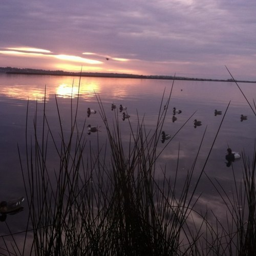 pknits's profile picture. 