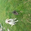 eric byers - @millerman70 - Twitter