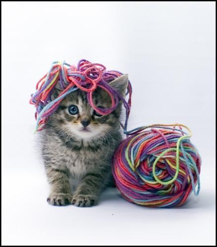 LechiaccherediS's profile picture. Amo tutto quello che riguarda l'uncinetto, il ricamo, la maglia ecc..