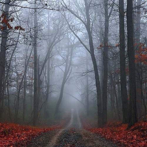 julie7042011's profile picture. 