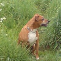 Paul Spanton (@ibruthless) 's Twitter Profile