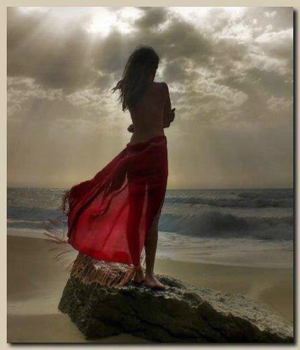 wisebutwily's profile picture. With age comes wisdom and with wisdom comes age