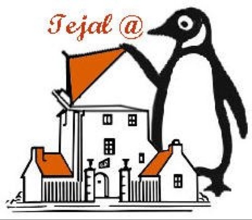 TPatelPenguin's profile picture. 