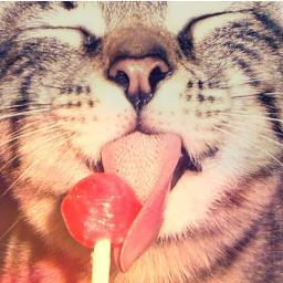 MIAU