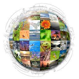 QuietPlanet's profile picture. Quiet Planet® provides award-winning nature sounds at affordable prices to independent producers of video games, films, broadcasts, music, new media and more.