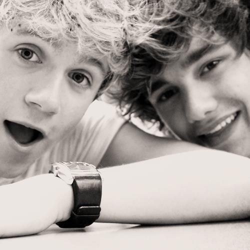 follow @niallsbabymofo & ask for follow back!