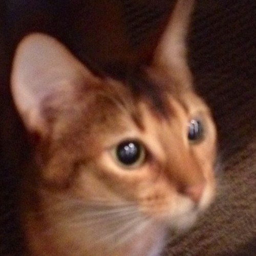 Hiroky2's profile picture. お気軽に(o^^o) Feel free to send a friend request :-) Tokyo Japan