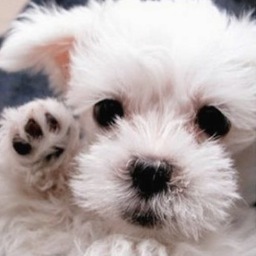 YourBetterSelf's profile picture. Hey, I'm Yaz, I'm 16 and I'm here to hear you all out and be a friend. Don't be so hard on yourself, fight your demons and become your better self. ♥