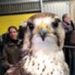 corinafurness99's profile picture. hi everyone my name is corina furness i have 2 lovely children my world my life !!!!!!!!!!!!!