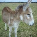 julie flaherty - @flahertyjulie - Twitter