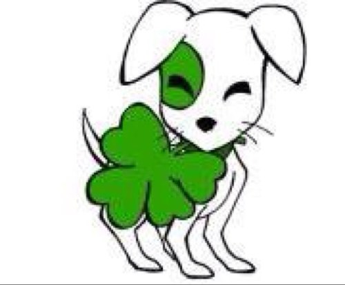 lucky rescue lucky puppy rescue luckypuppyrnr lucky rescue lucky puppy rescue luckypuppyrnr