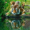 Carolyn Singleton - @Gfivegirl - Twitter