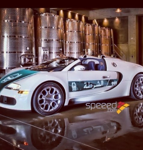 CrazySebas918's profile picture. 