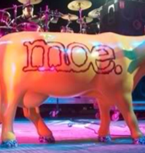 moeron_blog's profile picture. all. moe, all. the. time.