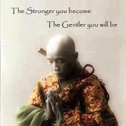 nestr66's profile picture. 