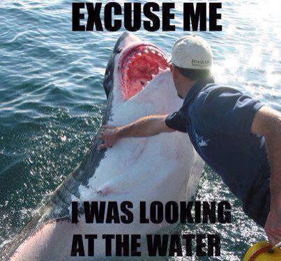 Nuemo123's profile picture. 