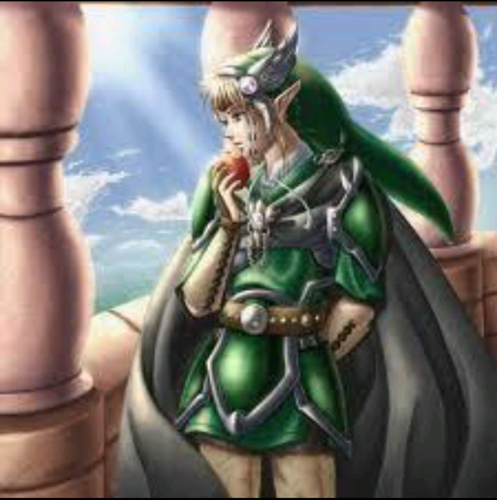 TheHylainHero's profile picture. The Hero.....of Hyrule! Is back!!! #single