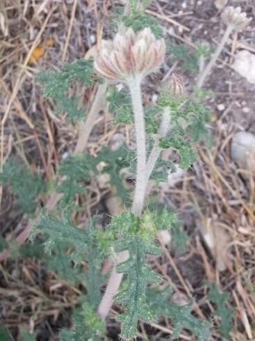 Cancun07's profile picture. 