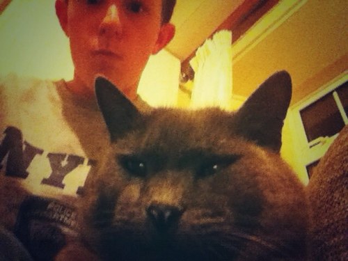 Samwazere2k12's profile picture. Where do i start Actualy duno still been written By J.k rowling