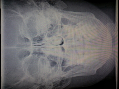 cloudiestnine9's profile picture. 