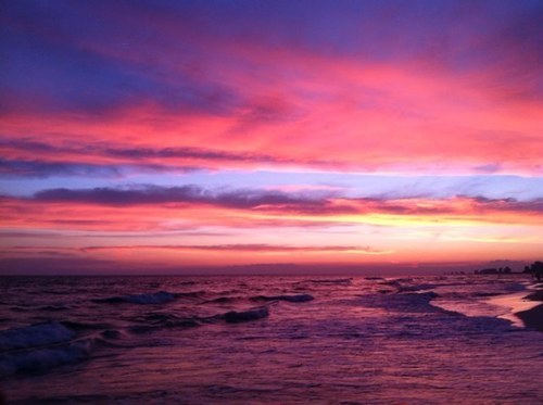 beach_43's profile picture. 