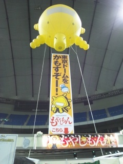 K123some3uraS's profile picture. 楽しかったなあ♪東京ドームオクトーバーフェスト(^_^)／□☆□＼(^_^)