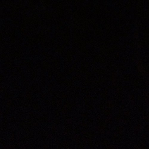 sofianunezr's profile picture. 