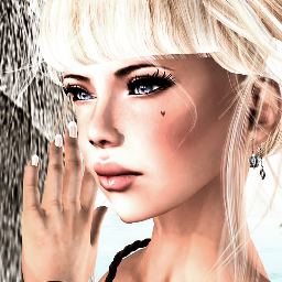 Second life fashion Blogger