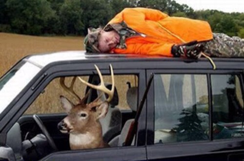 Hey whats up guys! Its Bucky here! I'm just a buck holding it down in a hunters paradise. I like to kick it with the nanny hoes, party all night & sleep all day