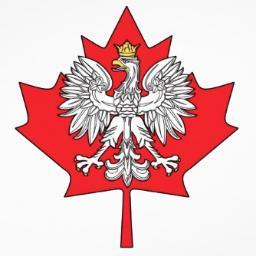 PFurms's profile picture. 