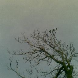 mahdi_temi's profile picture. To keep the body in good health is a duty, otherwise we shall not be able to keep our mind strong and clear.