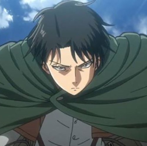 Lance Corporal Levi; Rivaille. In the Scouting Legion. Refrain from being stupid, have some common sense. [Shingeki No Kyojin]