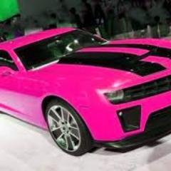 simms_o's profile picture. 