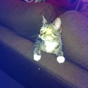 Lea Pugh - @pepe4059 - Twitter