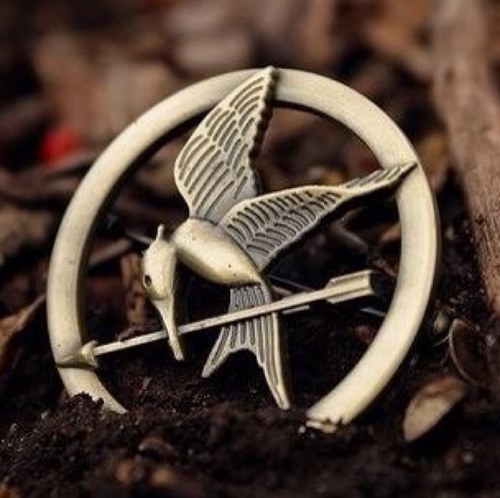 We love The Hunger Games more than Peeta loves bread, We love The Hunger Games more than Katniss loves her arrow. Follow us if u are a true tribute ! :D