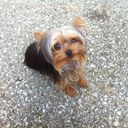 Doyle Russell - @RylansPoppa - Twitter