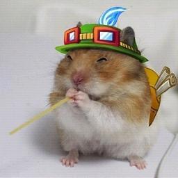 티모 짱짱