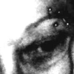 Zèbre édition artth‧net hopfeministes‧eklablog‧com Ts droits réservés Théoricienne interdisciplinaire Artiste pluridisciplinaire Féministe mem. fond. PDFQ F+H