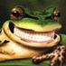 Viola Pellish (@violapellish) Twitter profile photo Viola Pellish (@violapellish) Twitter profile photo