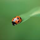 Sara Ries - @SaraRies1 - Twitter