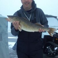 Buff Murray (@buffmurray) 's Twitter Profile