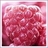 DeborahHazzard's profile image