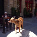 GREGG WATSON - @GREWATSO - Twitter