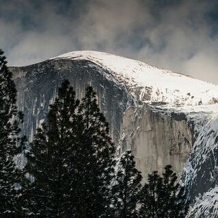 fjcvisual's profile picture. 